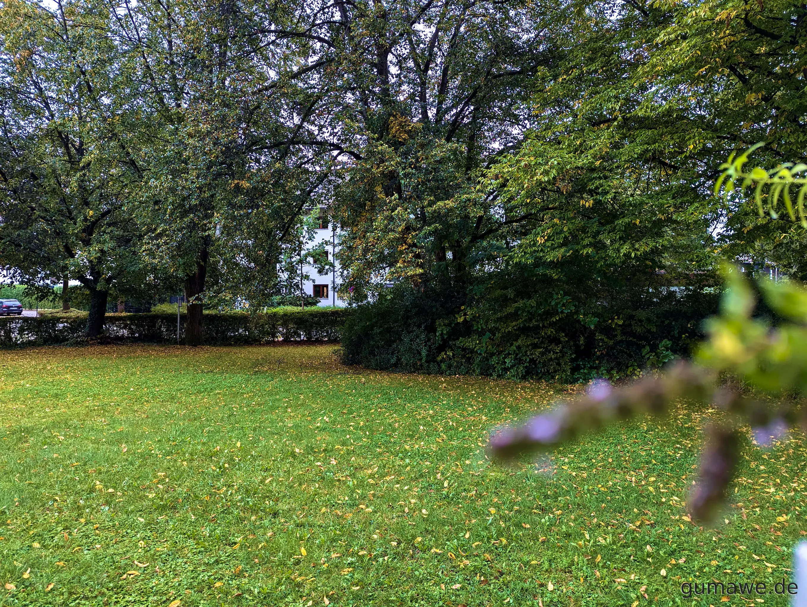 20240927-1